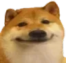 dogesmile