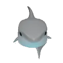 sharkstare Discord Emoji