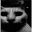 catDespair catDespair