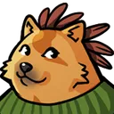 Doge