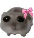 3_sadhamster