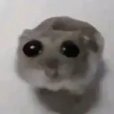 Sadrat