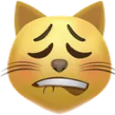 emoji_451