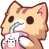 CatSip