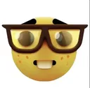 Nerd Nerd