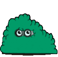 GOESpy