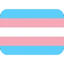 transgender