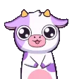 Cow_lick