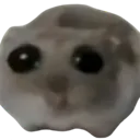 hammy