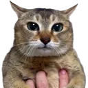 vro