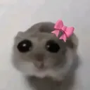 justagirl