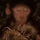 itsover itsover