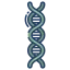 icons8dna648