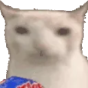 CatEatChippie Discord Emoji