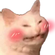 cat_blush
