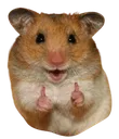 thumbsupp