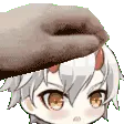 Pat_Kinu