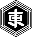 FES