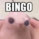 Neko_Bingo