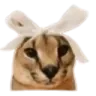 BowPeriod