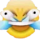 crazycry crazycry