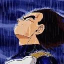 vegeta vegeta
