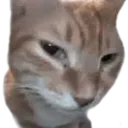 sus