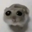 CSB_sadhamsteruWu
