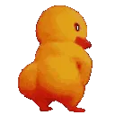 LuxDuck