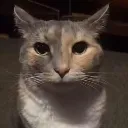 mentallyinsane