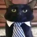 Verycat Discord Emoji