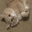 migohappy Discord Emoji