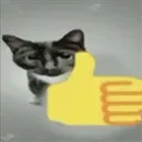 Catthumbsup catthumbsup Discord Emoji