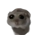 sadhamsterPhotoroom Discord Emoji