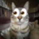 g_erm Discord emoji
