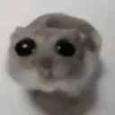 sadhampter