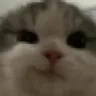 smirk
