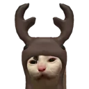 why