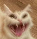 AAAAAAAA