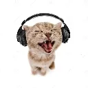 musica