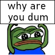 WhyAreYouDum