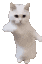 CatTime Discord Emoji