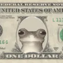frogmoney