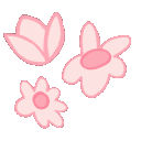 3pinks_flowers