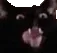 nyahaaa