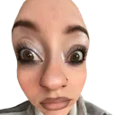 z_whattheheckies Discord Emoji