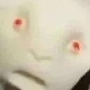 oo