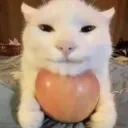 contentment