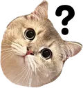 nalaconfused nalaconfused