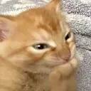 mischievousfeline